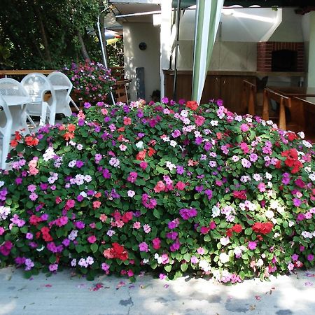 Villa Exotica Balchik Exterior photo