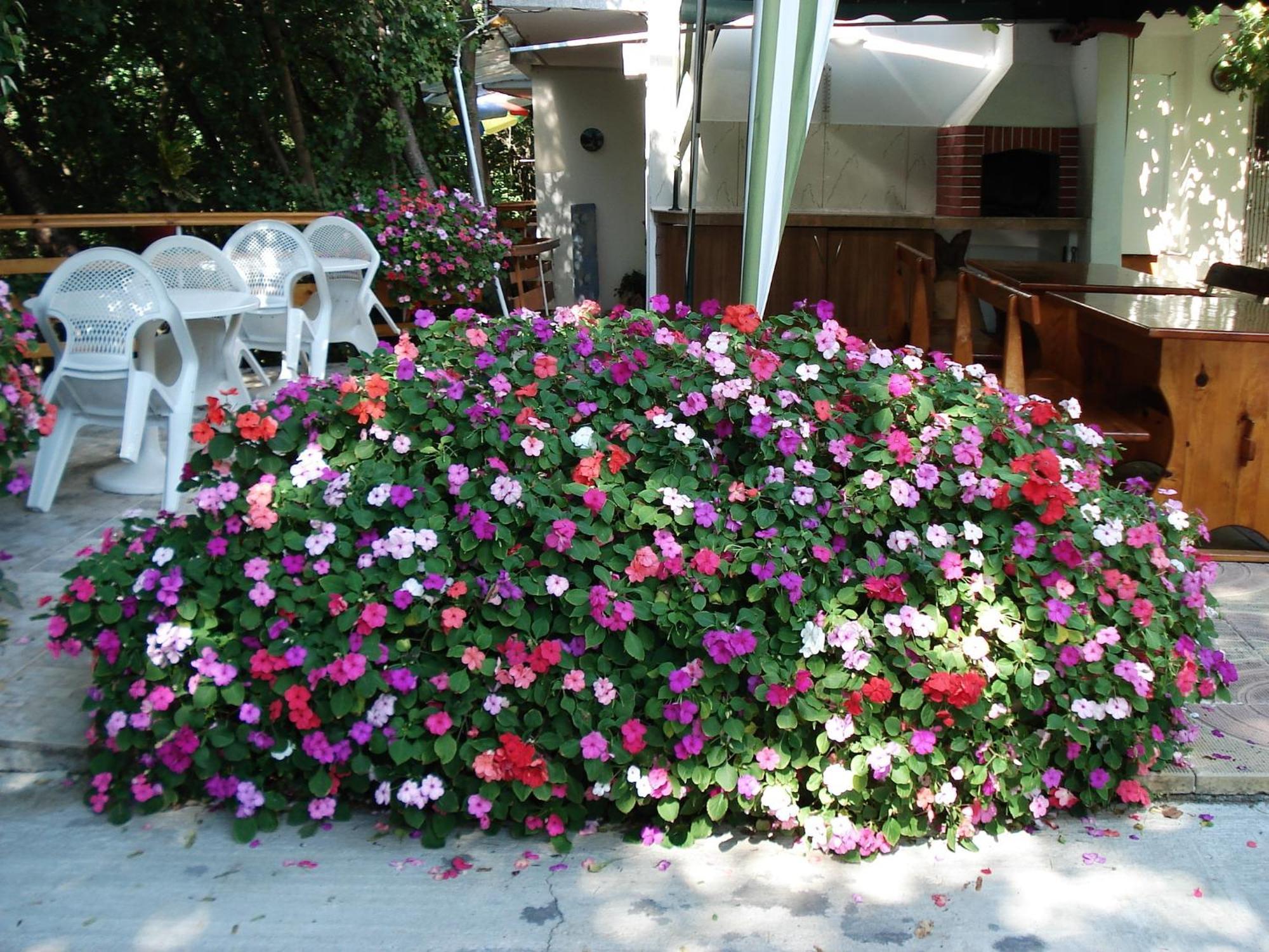 Villa Exotica Balchik Exterior photo