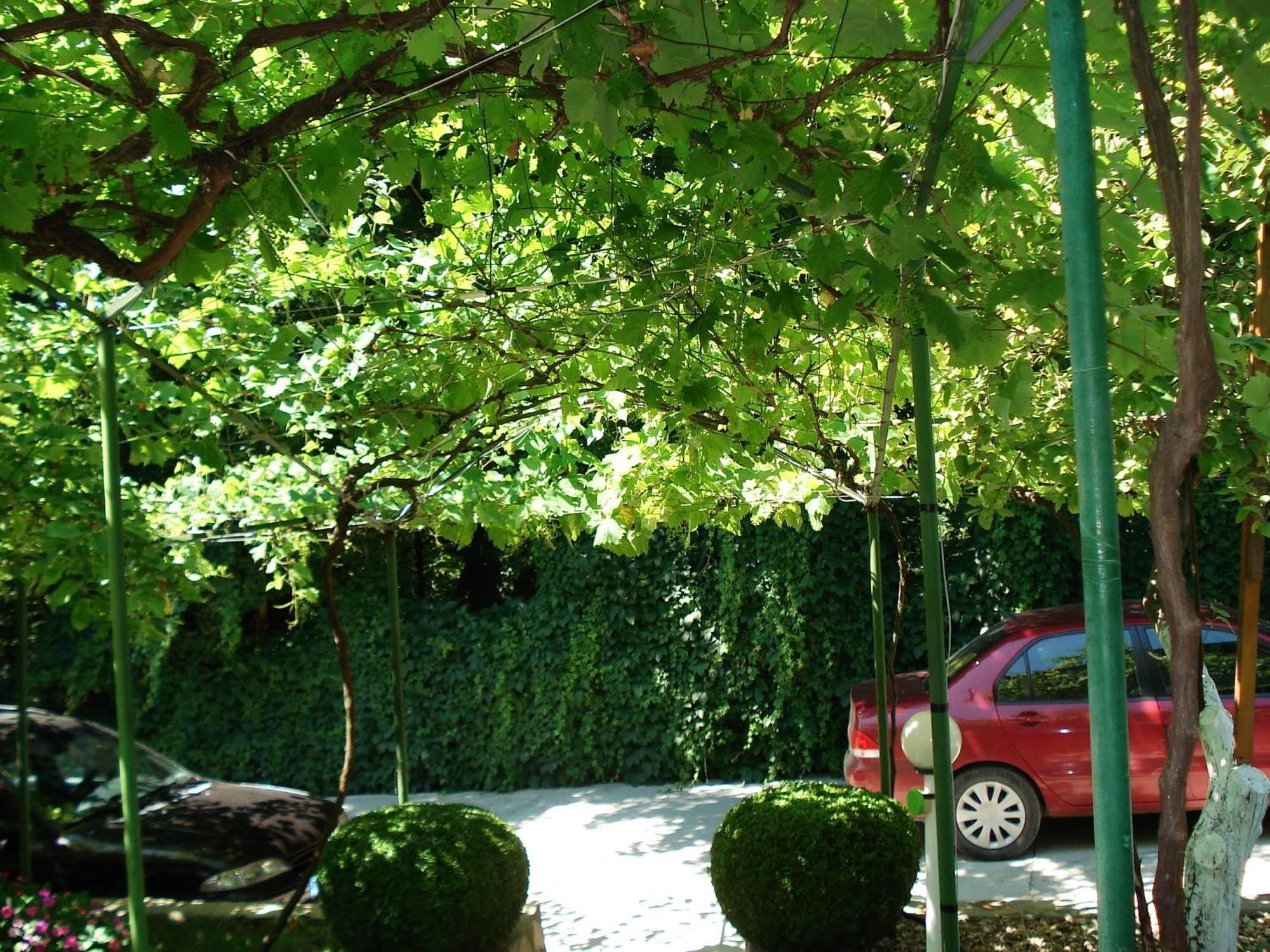 Villa Exotica Balchik Exterior photo