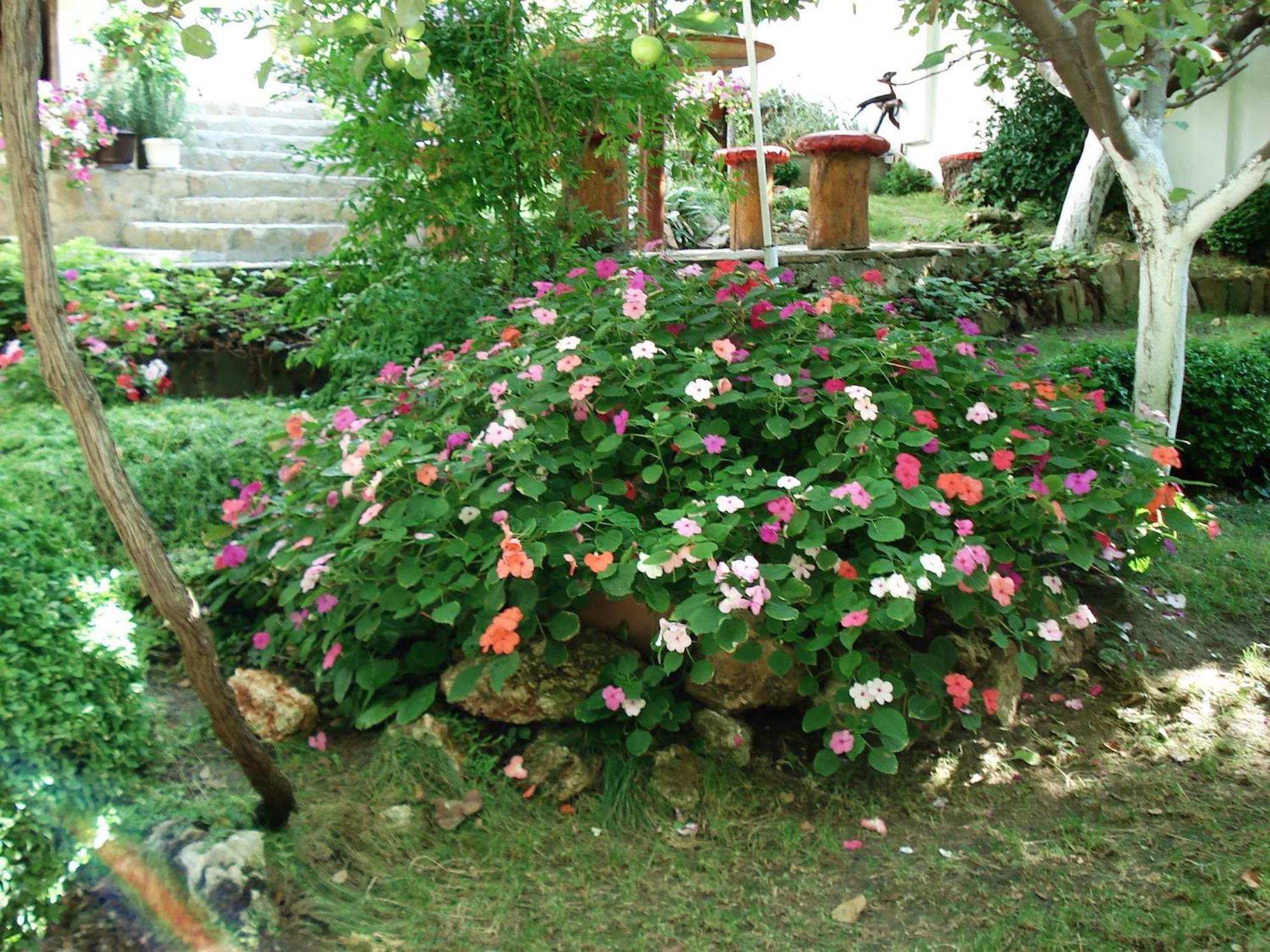 Villa Exotica Balchik Exterior photo
